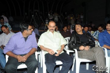 Uyyala Jampala Movie Press Meet 